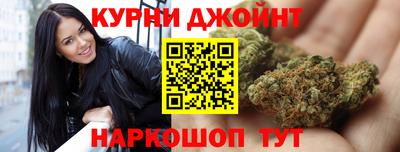 стаф Майкоп