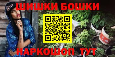 стаф Майкоп