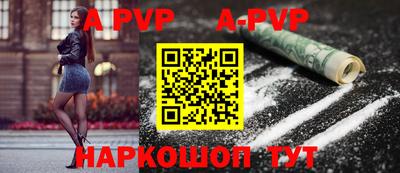 стаф Майкоп
