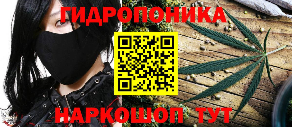 Канабис марихуана  Канабис VHQ  Бахчисарай  МАРИХУАНА OG Kush  Бошки Шишки тримм  Вход с VPN 